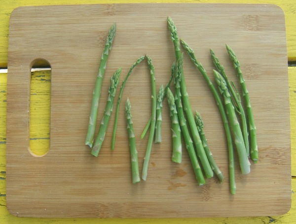 Asparagus harvest for 16 July 2018