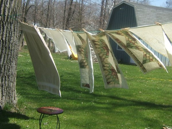 Cat quilts on line