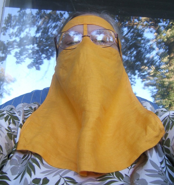 Taxicab niqab complete