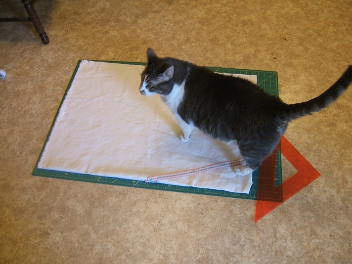 cat on cutting mat